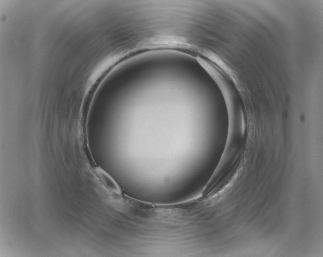 X0000068271469200604211058