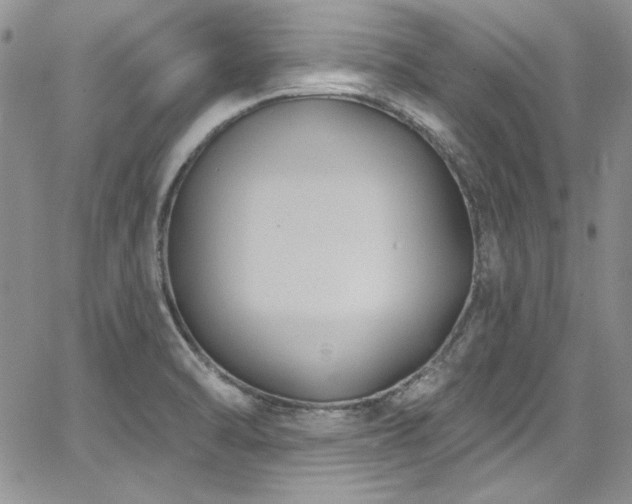 X0000068271470200604211057