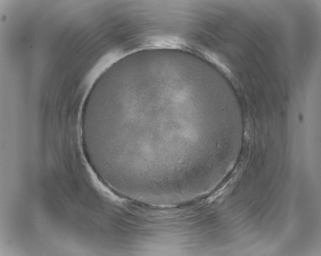 X0000068271471200604211057