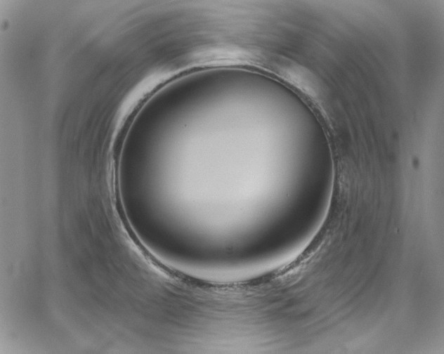 X0000068271472200604211057