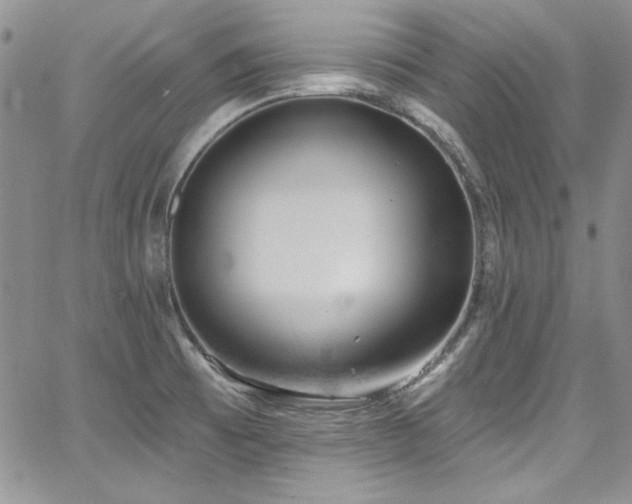 X0000068271473200604211057