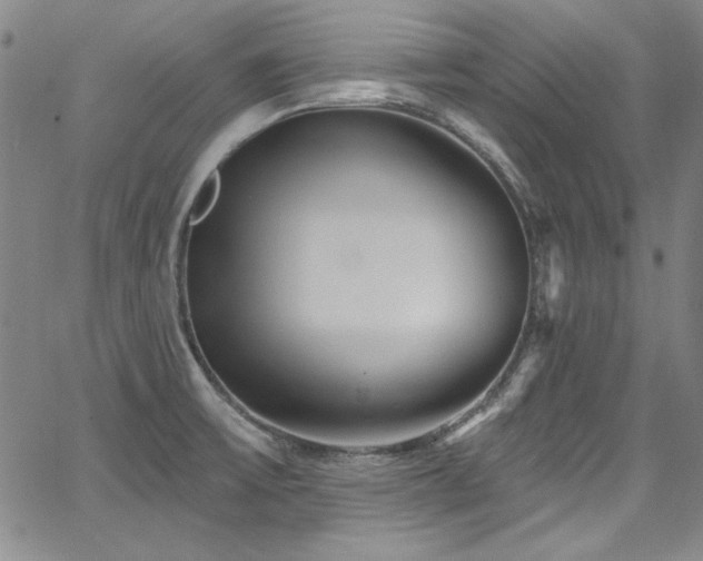 X0000068271475200604211057