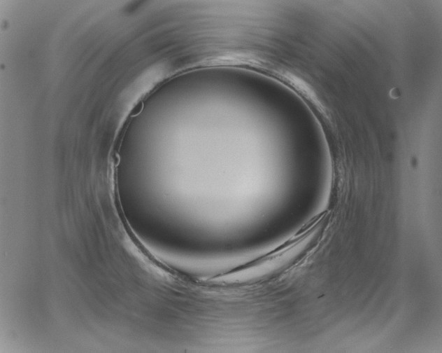 X0000068271476200604211057