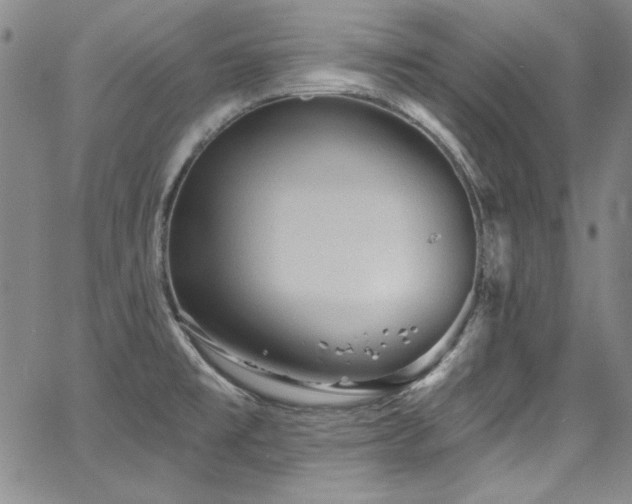 X0000068271477200604211057