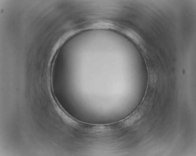 X0000068271478200604211057