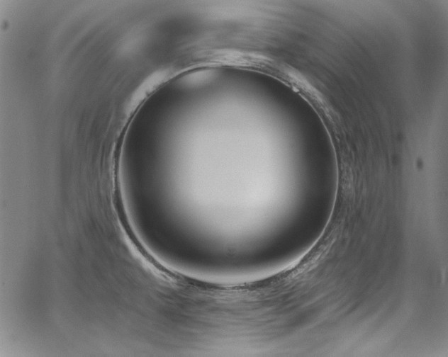 X0000068271479200604211057