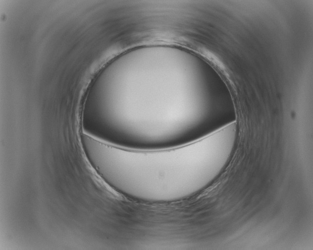 X0000068271480200604211057