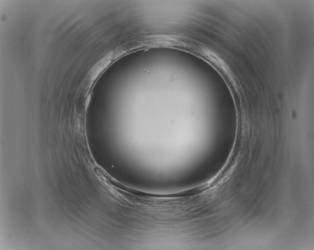 X0000068271481200604211057