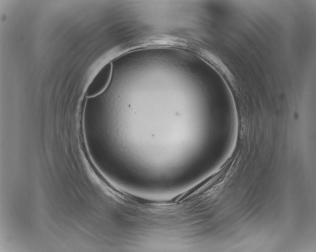 X0000068271483200604211057