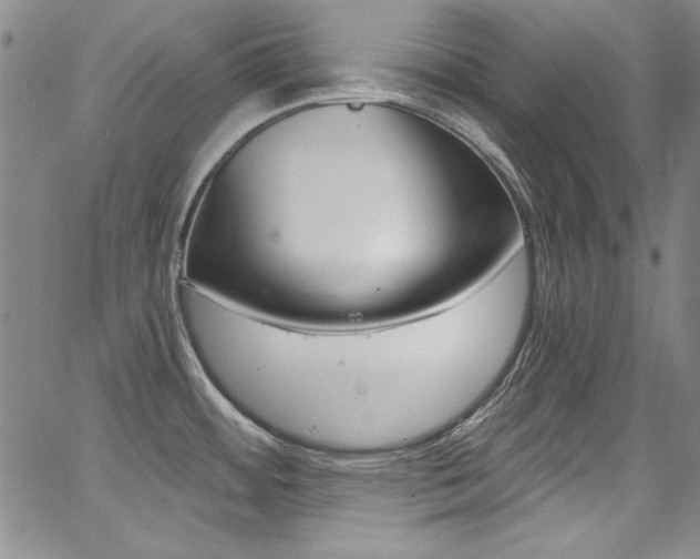 X0000068271484200604211057