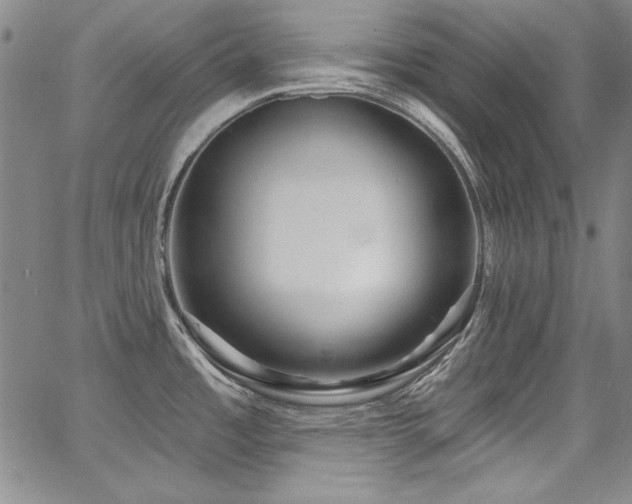 X0000068271485200604211057