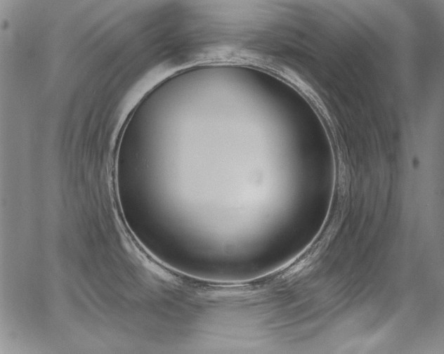 X0000068271486200604211057