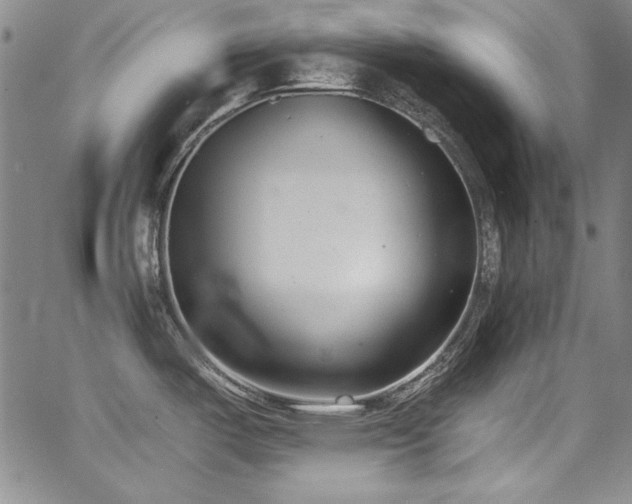 X0000068271487200604211057