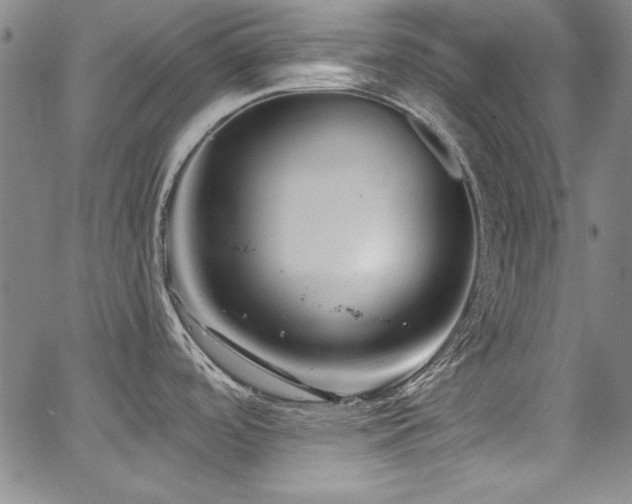 X0000068271488200604211057