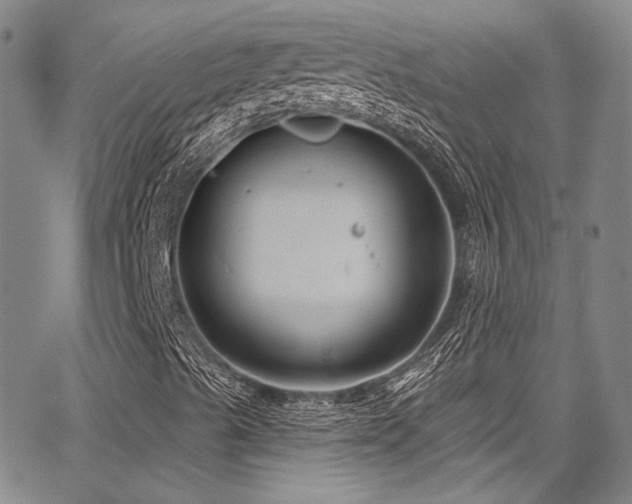 X0000068271489200604211056