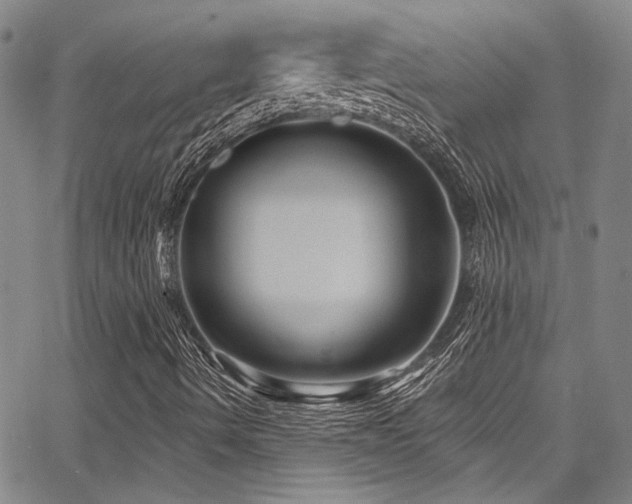 X0000068271490200604211056