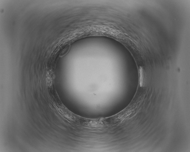 X0000068271491200604211056