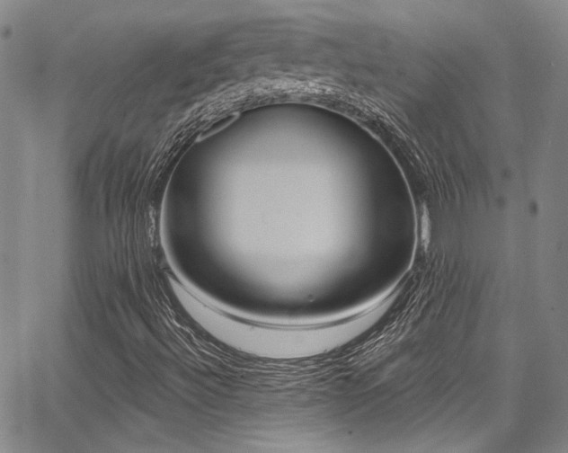 X0000068271492200604211056