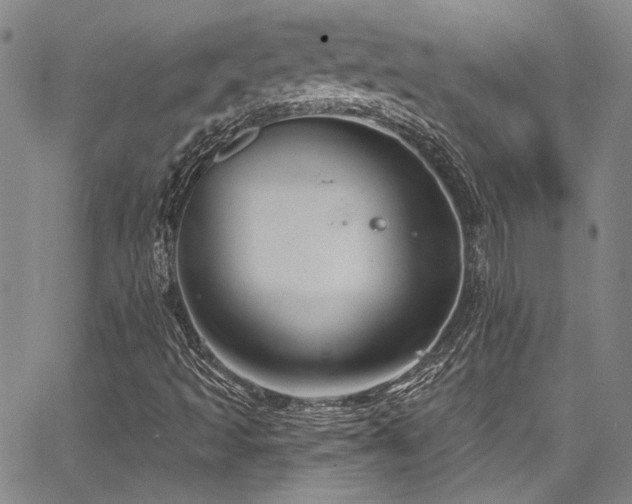 X0000068271493200604211056