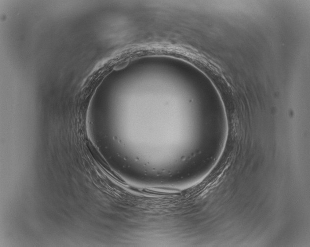 X0000068271494200604211057