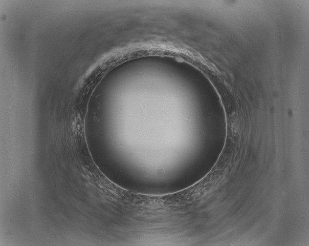 X0000068271495200604211057