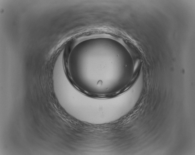 X0000068271496200604211057