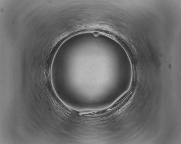 X0000068271497200604211057