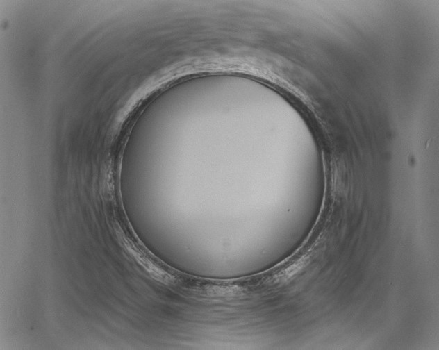 X0000068271498200604211057