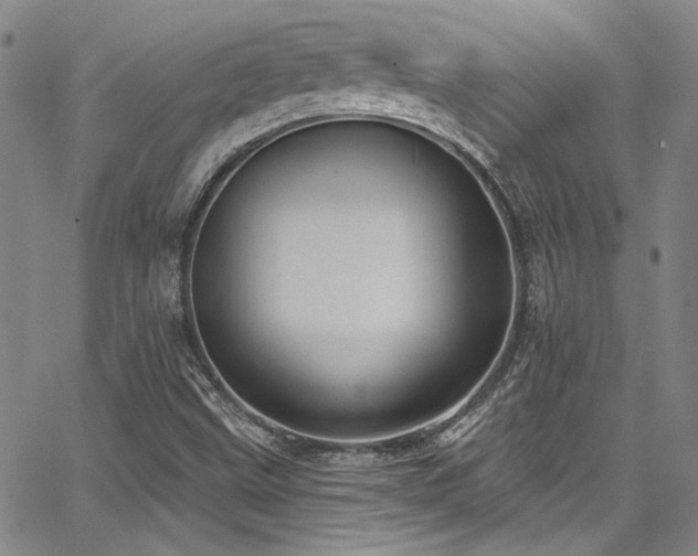 X0000068271499200604211057