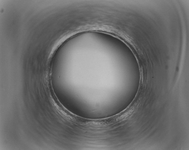 X0000068271500200604211057