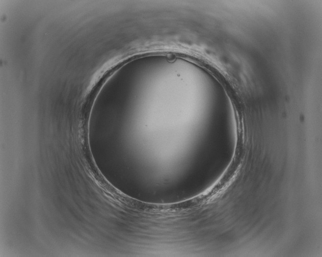 X0000068271501200604211057