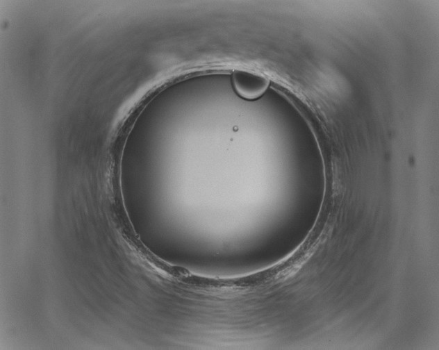 X0000068271502200604211057