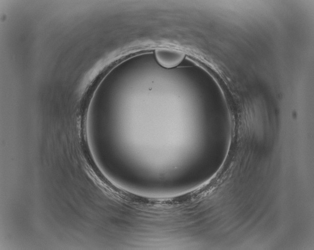 X0000068271503200604211057