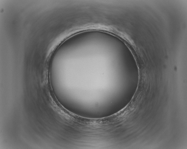 X0000068271504200604211057