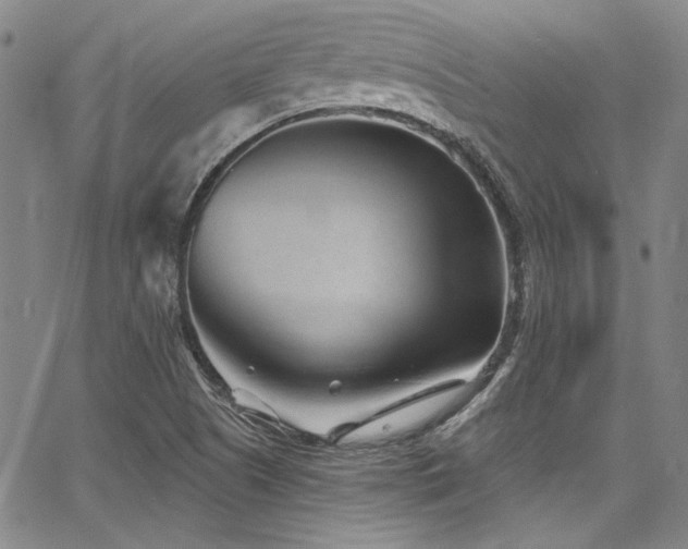 X0000068271505200604211057