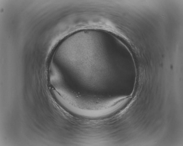 X0000068271506200604211057