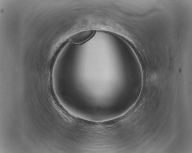 X0000068271507200604211057