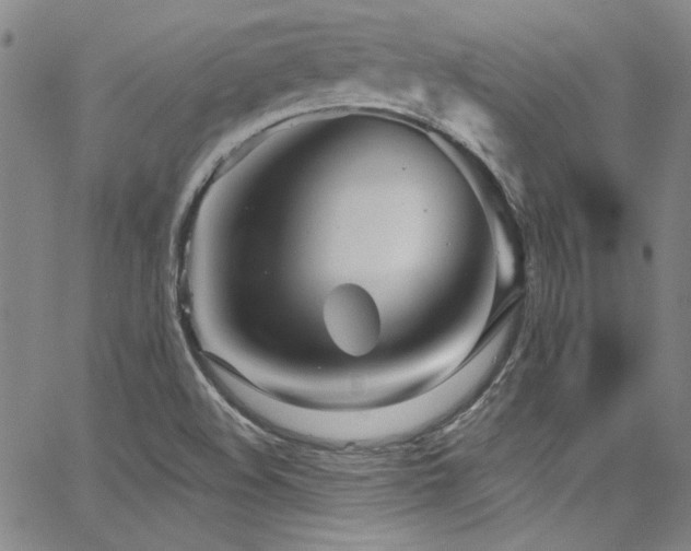 X0000068271508200604211057