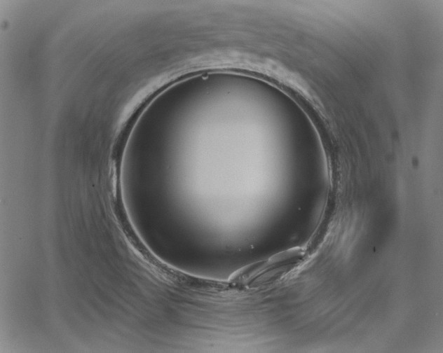 X0000068271509200604211057