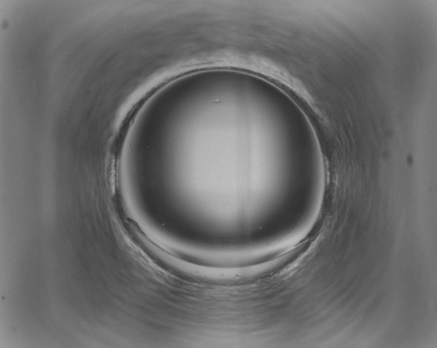 X0000068271510200604211057