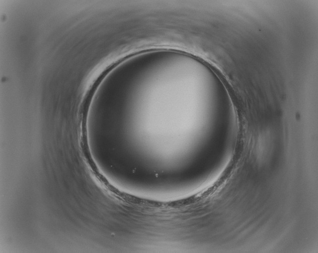 X0000068271511200604211057