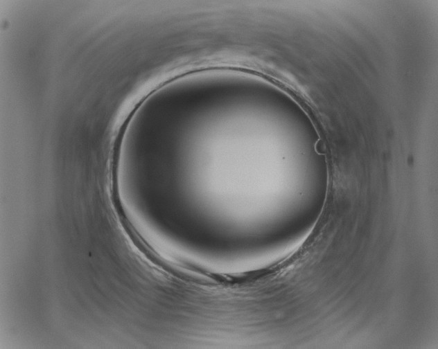 X0000068271512200604211057