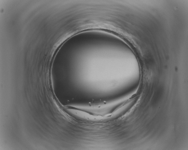 X0000068271513200604211057