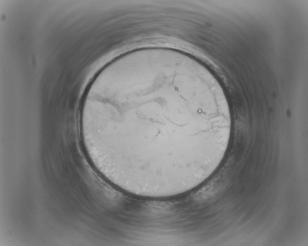 X0000068271514200604211057