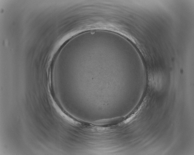 X0000068271515200604211057