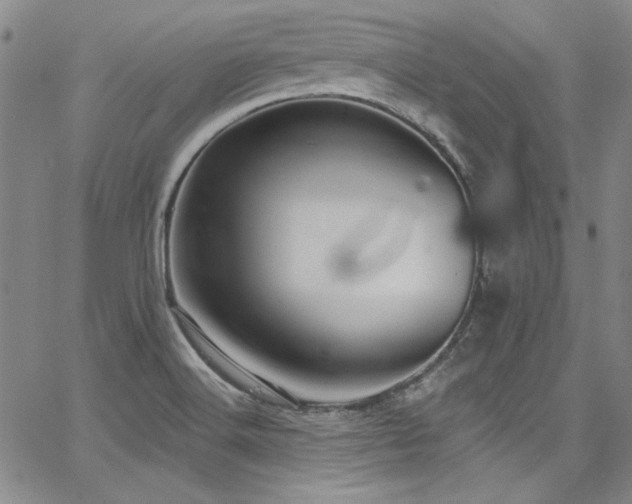 X0000068271516200604211057