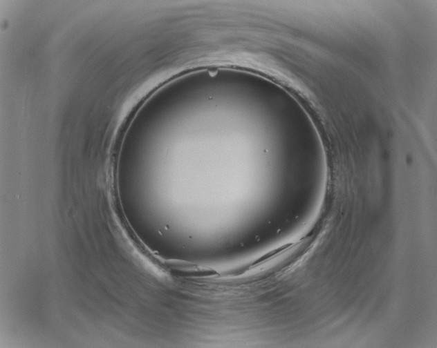 X0000068271517200604211057