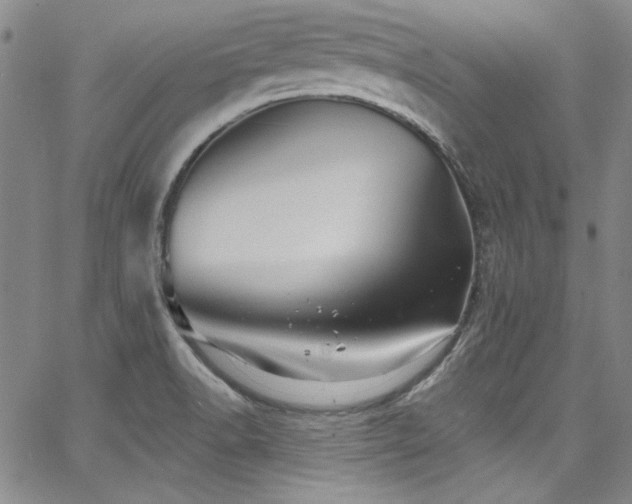 X0000068271518200604211057