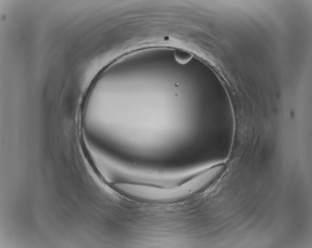 X0000068271519200604211057