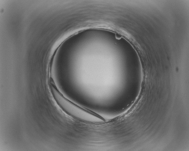 X0000068271520200604211057